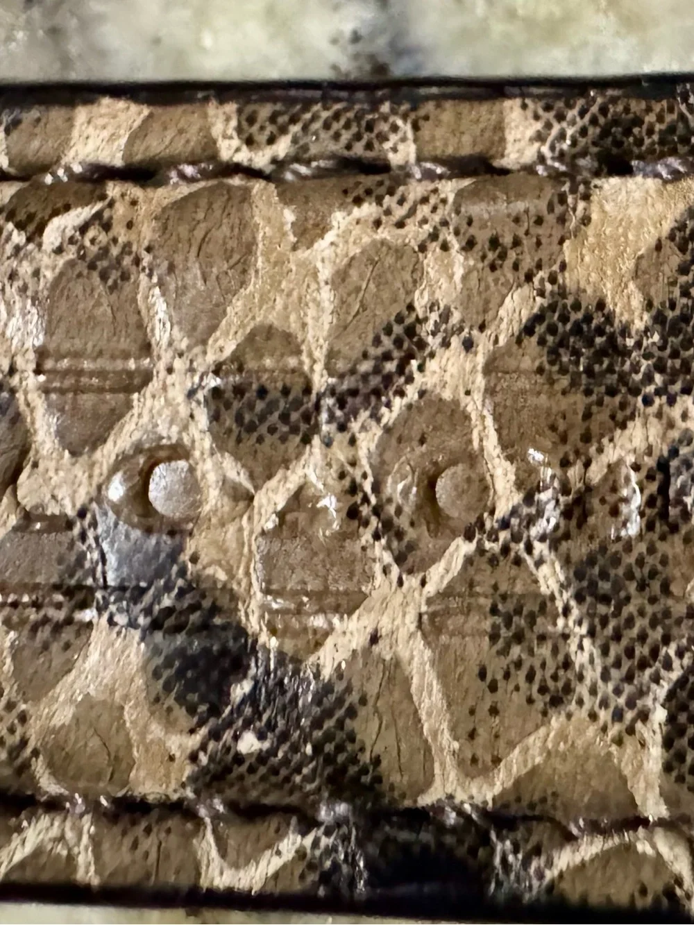 Coach Taupe and Black Snakeskin-Print Wristlet